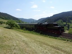 EFZ D 52-7596d bGut