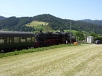 EFZ D 52-7596e bGut