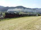 EFZ D 52-7596f bGut