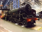 BLS 45596 NRM