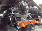 BbR D 80064 SheffP