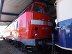 DB-Mus 219084 Mus-KO