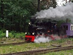 BPE D Luise2 Bw
