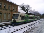 BSB VT013 Wald