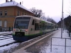 BSB VT015 Wald