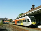 KNE 508103b BWildgn