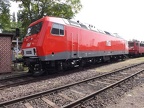 MEG E 156003 Mus-HAL