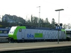 BLS Re485006 Weil-Rh