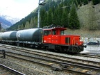 BLS Tea245023 Gopp