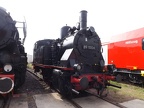 DB-Mus 89-1004f Mus-HAL