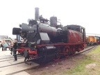 DB-Mus 89-1004g Mus-HAL