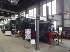 DB-Mus 89-7462 Mus-KO