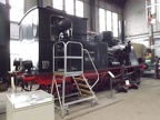 DB-Mus 89-7462b Mus-KO