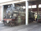 SEH 38-3199 MusHN