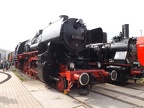 VMD 052 9900c Mus-HAL