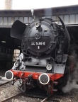 EFSFT 44-1486o Mus-HAL