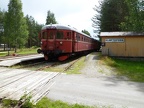 NJK VT BM91-09f Kloe