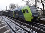 NBE ET 5-01a Elm