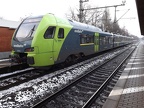 NBE ET 5-01b Elm
