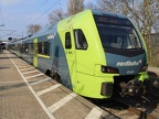 NBE ET 5-07b Elm