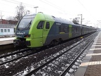 NBE ET 6-05a Elm