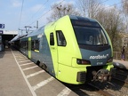 NBE ET 6-08a Elm