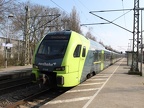 NBE ET 6-08b Elm