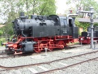 DDM 080-013 Mus