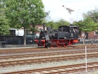 DDM 089-6024 Mus