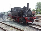 DDM 089-6024b Mus