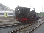 DDM 089-6024c Mus