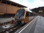 NOVOG ET 03 Laub