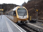 NOVOG ET 03b Laub