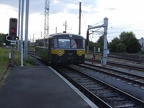 AMTF VT551-669c Pet