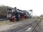 Mus-Wol Ty1-76b