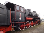 Mus-Wol Ty1-76g