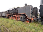 Mus-Wol Ty5-10c