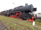 Mus-Wol Ty43-123