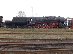 Mus-Wol Ty43-123b