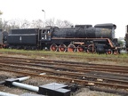 Mus-Wol Ty51-183b