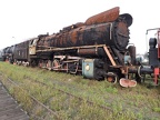 Mus-Wol Ty51-223b