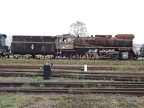 Mus-Wol Ty51-223c