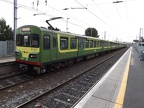 DART 8137 Clon
