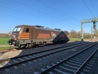 HSL E 187535d Kork