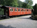 DGEG Wg BC2455 Elm