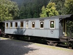 DGEG Wg C11150 Elm