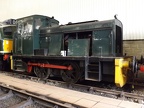 MRB V Bcl416 Mus-SwJ