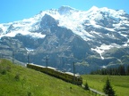 WAB BDhe 131b bWengalp
