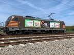 HSL E 187537b Kork