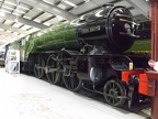NRM 4771g GnArrow
